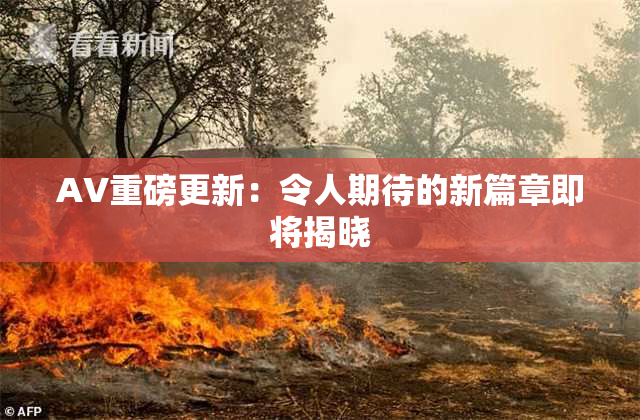AV重磅更新：令人期待的新篇章即将揭晓