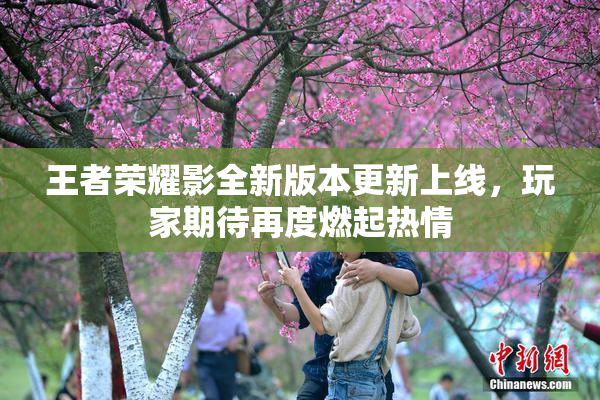 王者荣耀影全新版本更新上线，玩家期待再度燃起热情