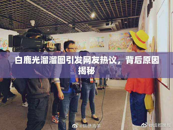 白鹿光溜溜图引发网友热议，背后原因揭秘
