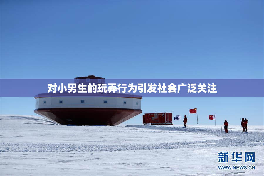 对小男生的玩弄行为引发社会广泛关注
