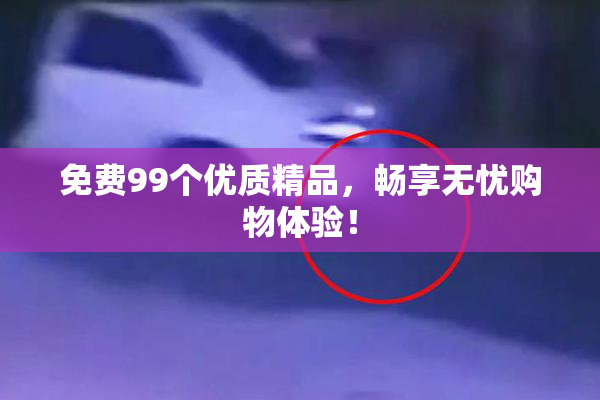 免费99个优质精品，畅享无忧购物体验！