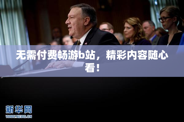 无需付费畅游b站，精彩内容随心看！