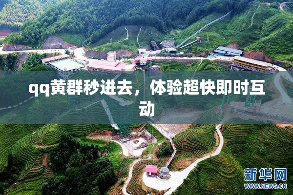 qq黄群秒进去，体验超快即时互动