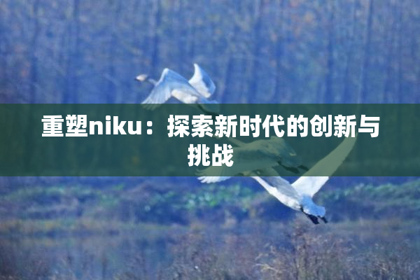 重塑niku：探索新时代的创新与挑战