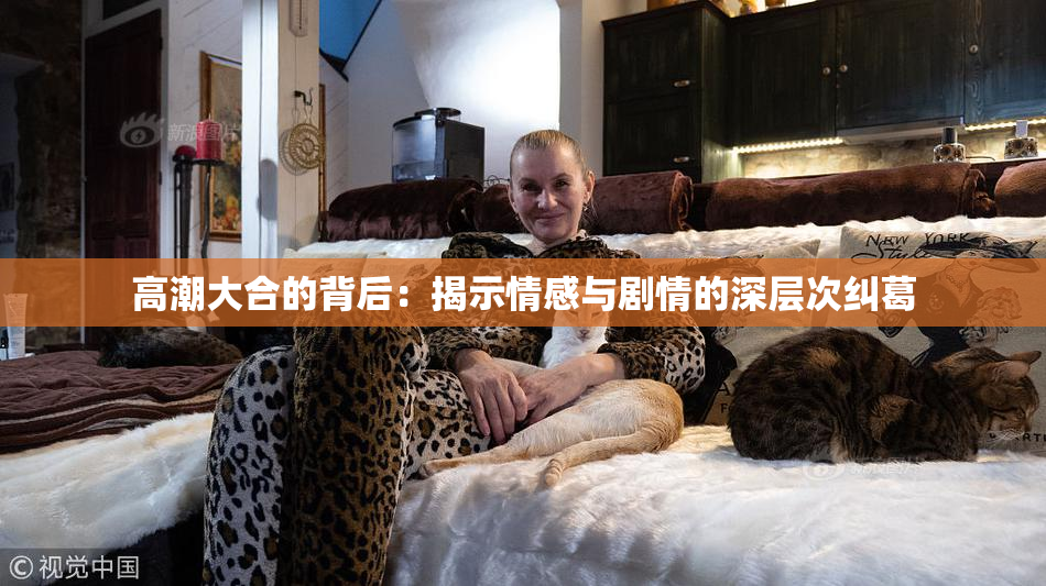 高潮大合的背后：揭示情感与剧情的深层次纠葛