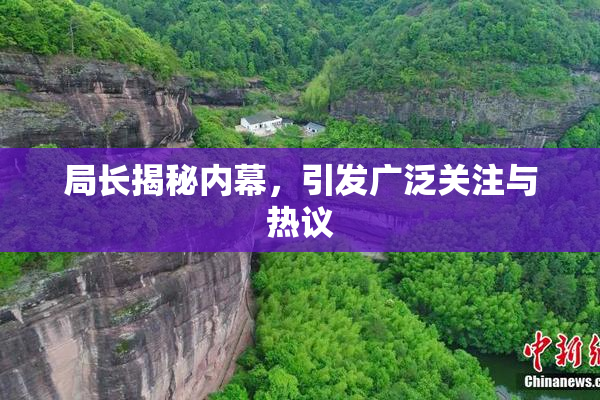 局长揭秘内幕，引发广泛关注与热议