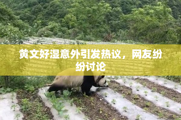 黄文好湿意外引发热议，网友纷纷讨论