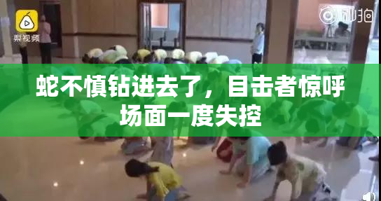蛇不慎钻进去了，目击者惊呼场面一度失控
