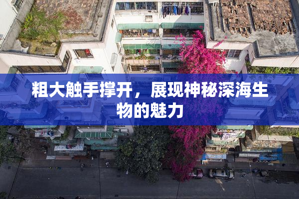 粗大触手撑开，展现神秘深海生物的魅力