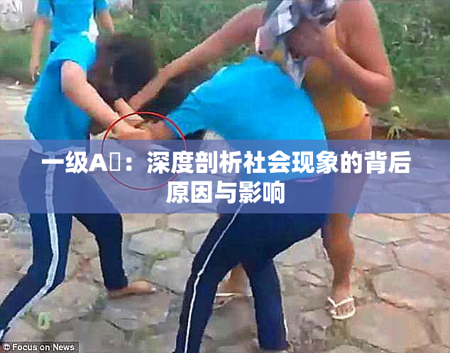 一级A婬：深度剖析社会现象的背后原因与影响