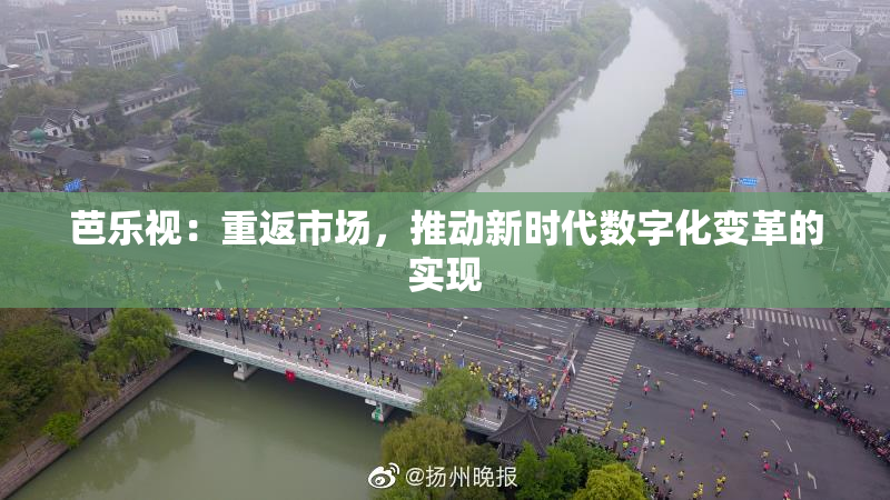 芭乐视：重返市场，推动新时代数字化变革的实现