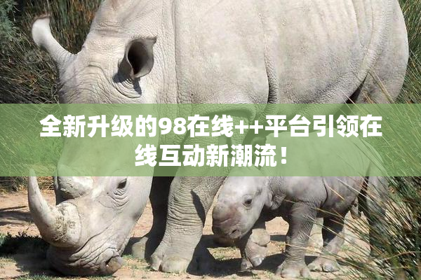全新升级的98在线++平台引领在线互动新潮流！