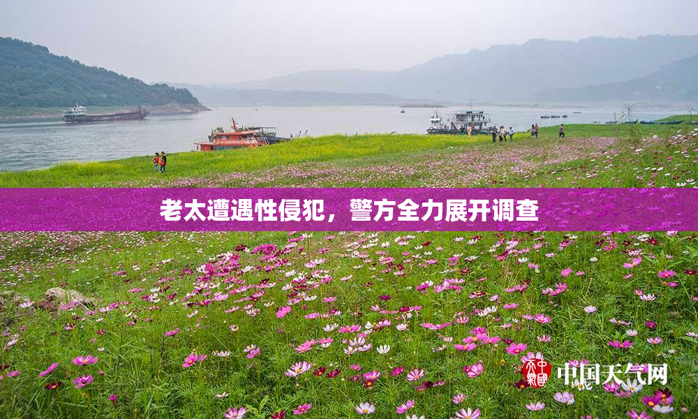 老太遭遇性侵犯，警方全力展开调查