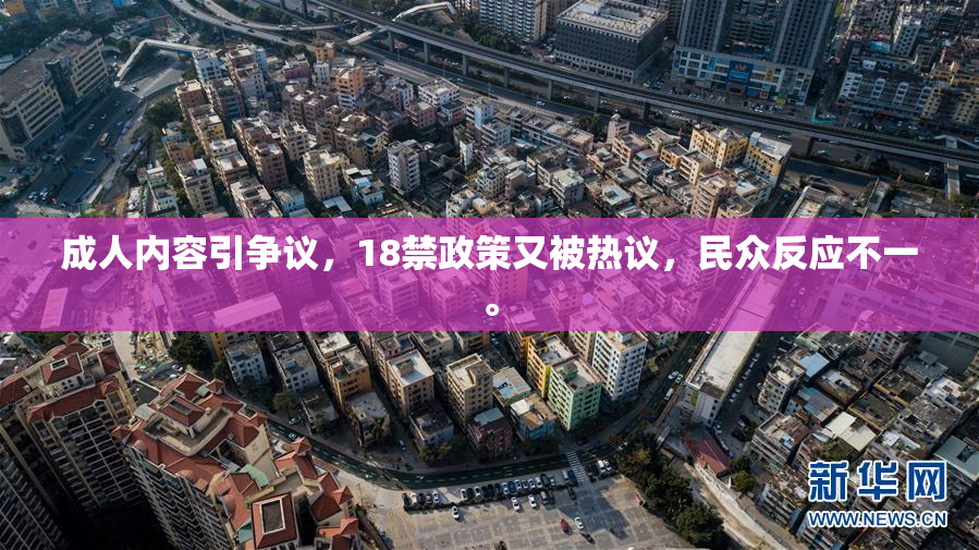 成人内容引争议，18禁政策又被热议，民众反应不一。