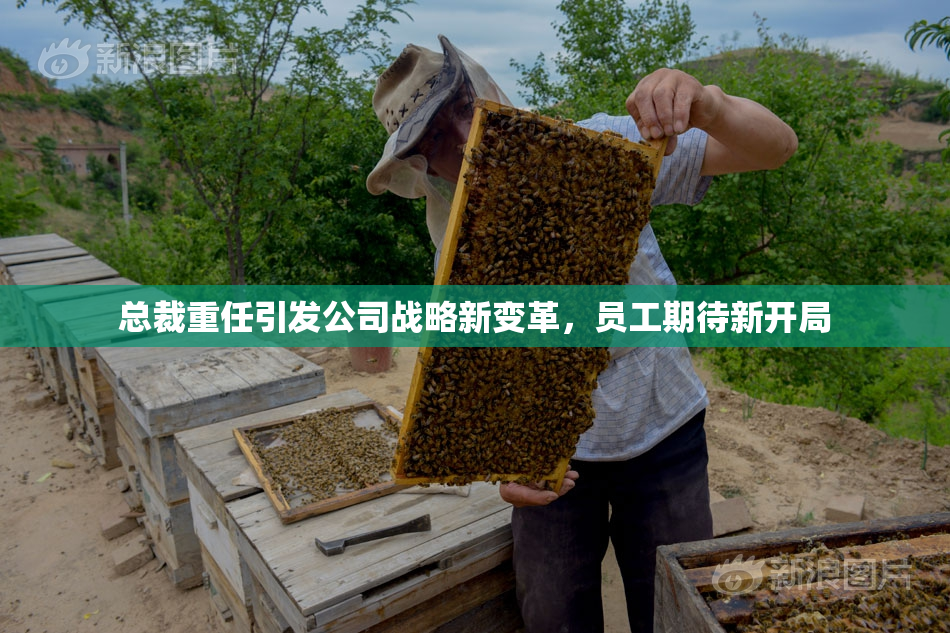 总裁重任引发公司战略新变革，员工期待新开局