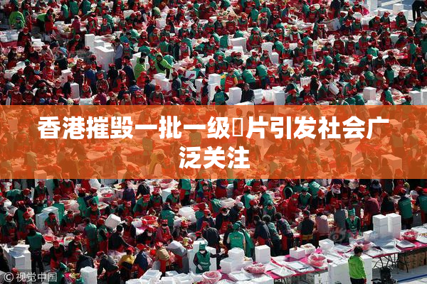 香港摧毁一批一级婬片引发社会广泛关注