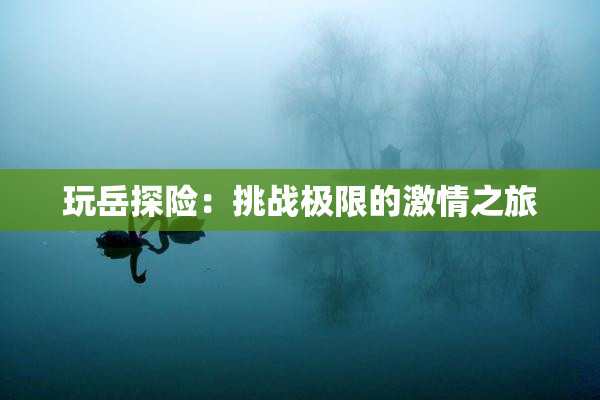 玩岳探险：挑战极限的激情之旅