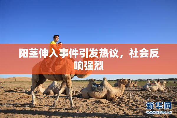 阳茎伸入事件引发热议，社会反响强烈