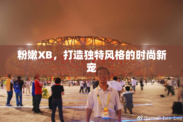 粉嫩XB，打造独特风格的时尚新宠