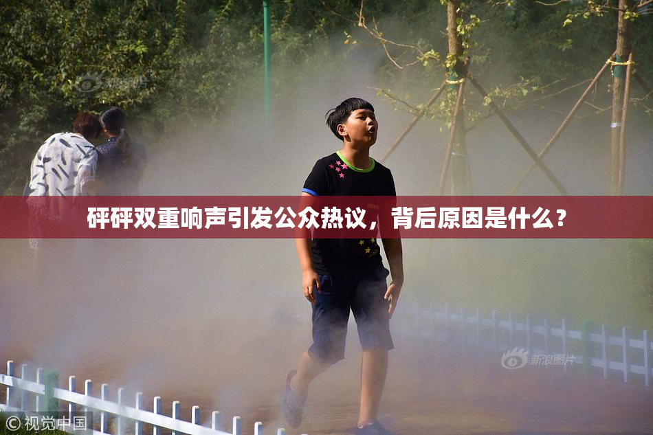 砰砰双重响声引发公众热议，背后原因是什么？