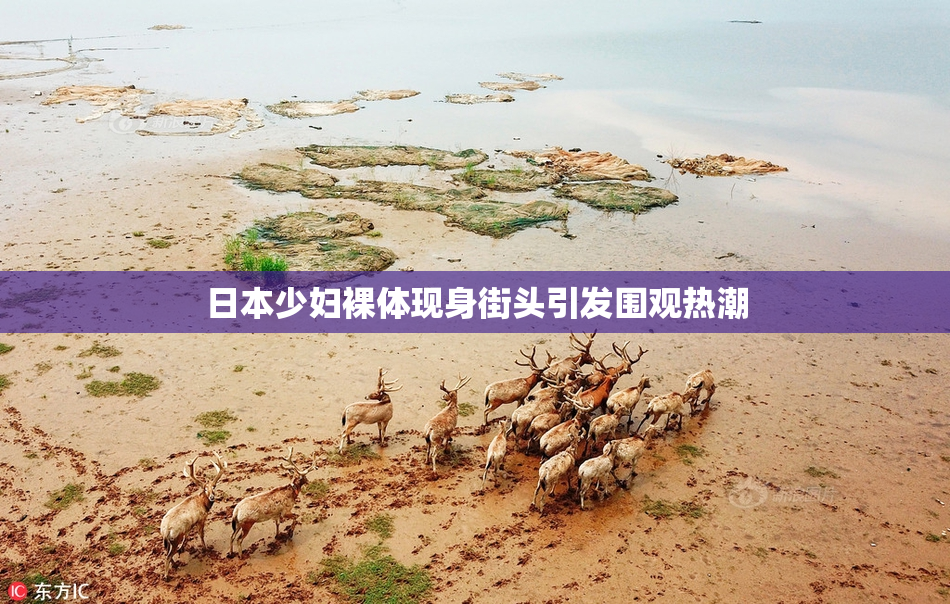 日本少妇裸体现身街头引发围观热潮