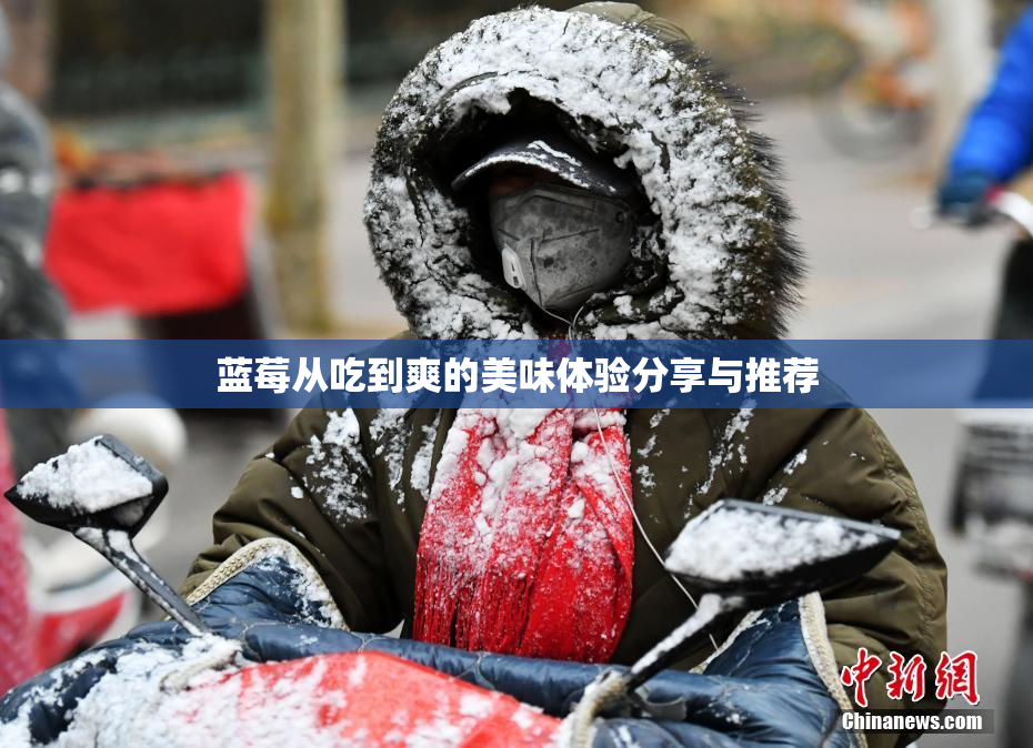 蓝莓从吃到爽的美味体验分享与推荐
