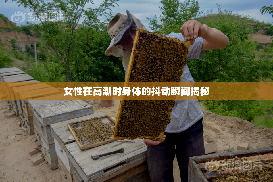 女性在高潮时身体的抖动瞬间揭秘