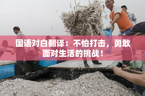 国语对白翻译：不怕打击，勇敢面对生活的挑战！