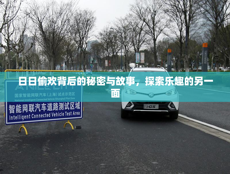 日日偷欢背后的秘密与故事，探索乐趣的另一面
