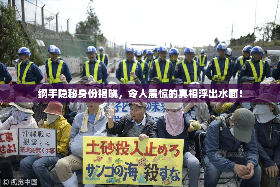纲手隐秘身份揭晓，令人震惊的真相浮出水面！