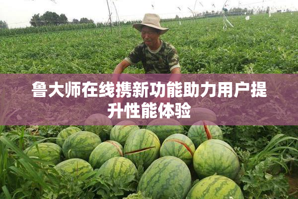 鲁大师在线携新功能助力用户提升性能体验