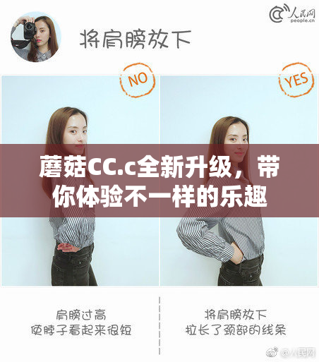 蘑菇CC.c全新升级，带你体验不一样的乐趣