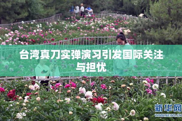 台湾真刀实弹演习引发国际关注与担忧