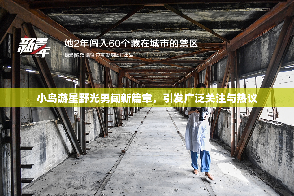 小鸟游星野光勇闯新篇章，引发广泛关注与热议