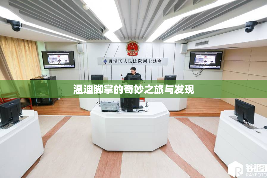 温迪脚掌的奇妙之旅与发现