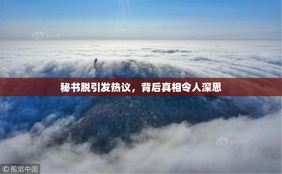 秘书脱引发热议，背后真相令人深思