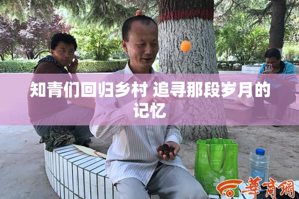 知青们回归乡村 追寻那段岁月的记忆