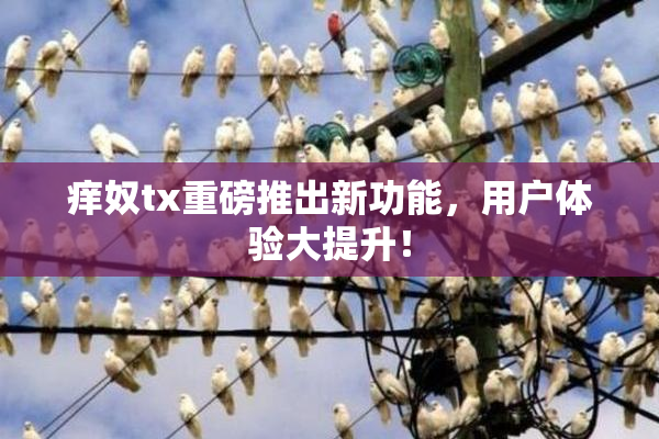 痒奴tx重磅推出新功能，用户体验大提升！