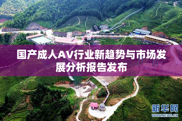 国产成人AV行业新趋势与市场发展分析报告发布