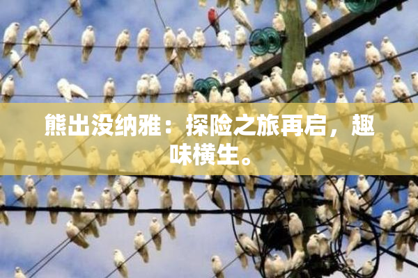 熊出没纳雅：探险之旅再启，趣味横生。