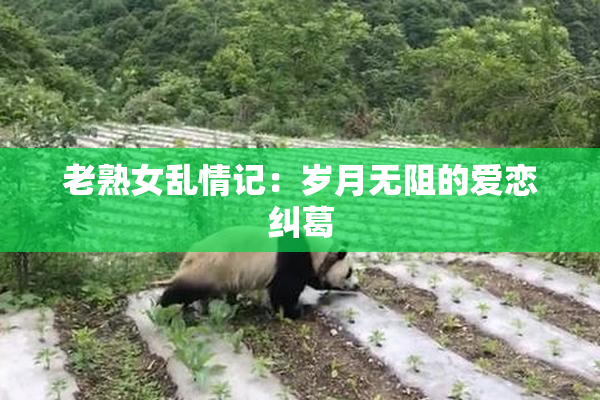 老熟女乱情记：岁月无阻的爱恋纠葛