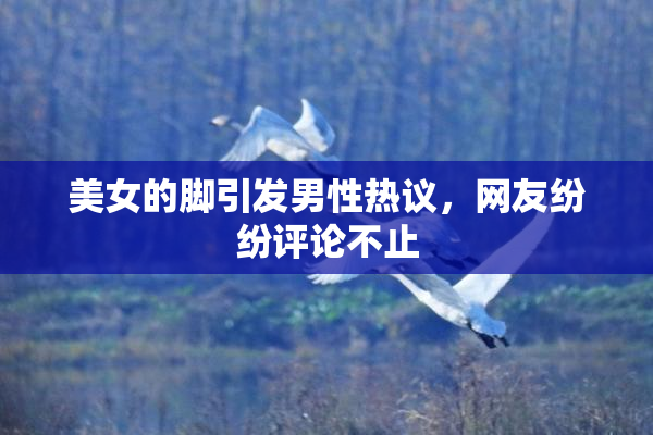 美女的脚引发男性热议，网友纷纷评论不止