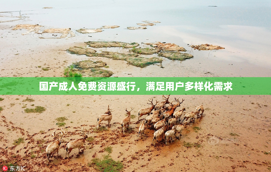 国产成人免费资源盛行，满足用户多样化需求