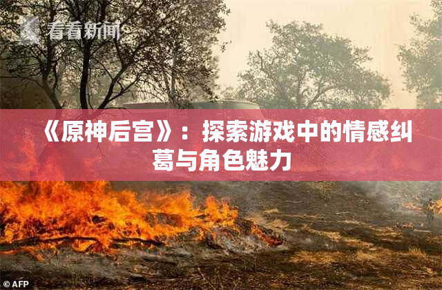 《原神后宫》：探索游戏中的情感纠葛与角色魅力