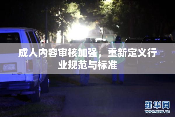 成人内容审核加强，重新定义行业规范与标准