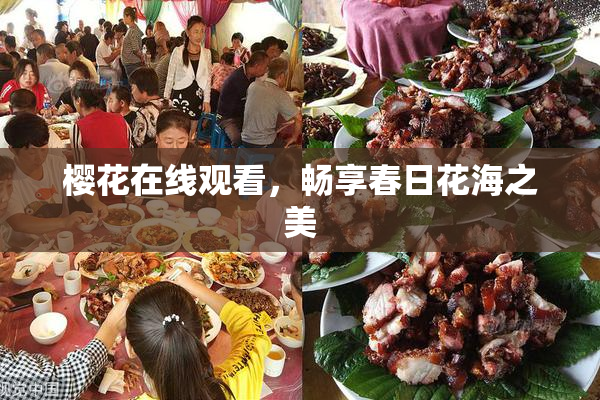 樱花在线观看，畅享春日花海之美