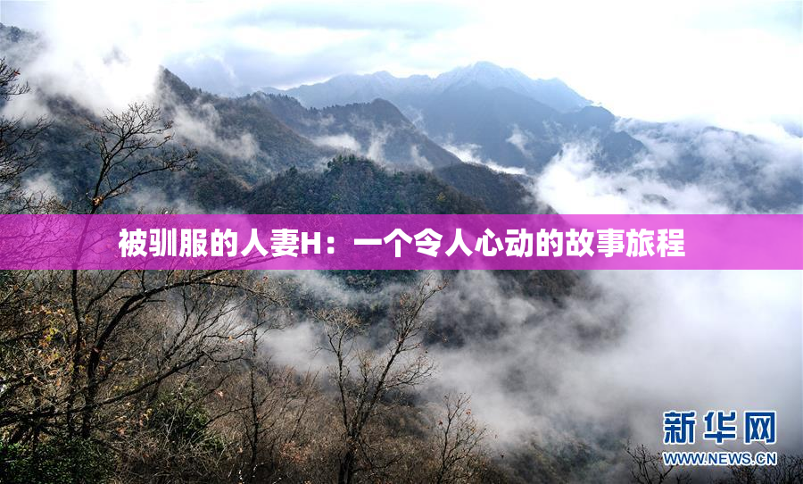 被驯服的人妻H：一个令人心动的故事旅程