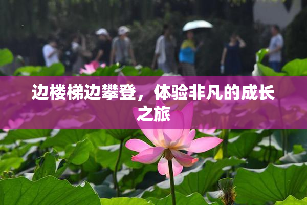 边楼梯边攀登，体验非凡的成长之旅