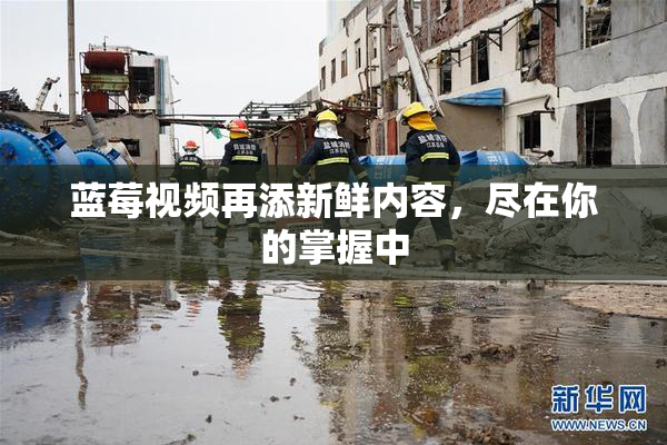 蓝莓视频再添新鲜内容，尽在你的掌握中