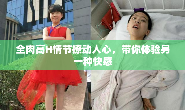 全肉高H情节撩动人心，带你体验另一种快感